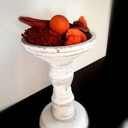 Luna Rossa * Navodari